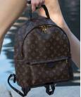 Рюкзак Louis Vuitton Palm Springs Backpack Large